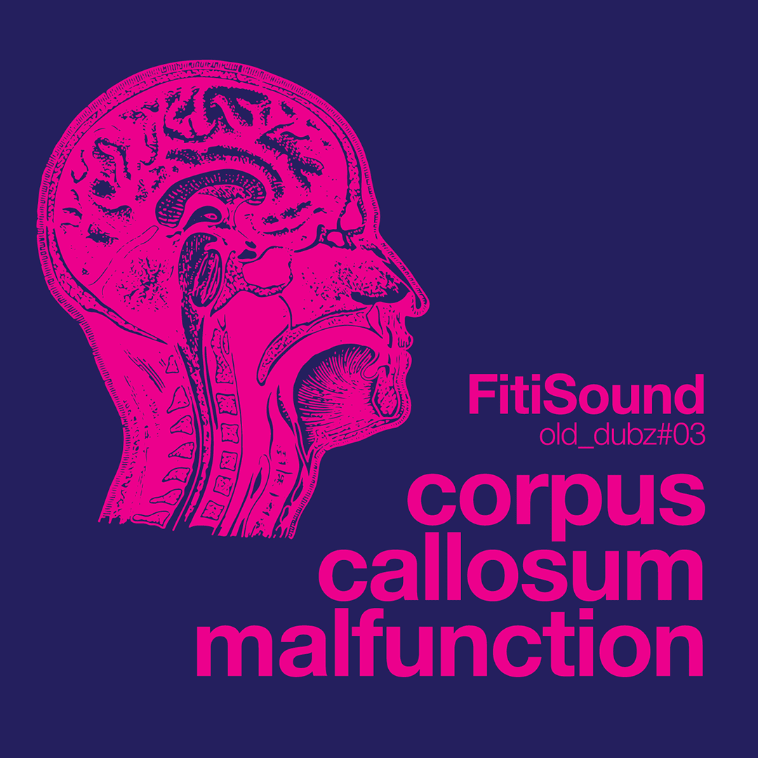 corpus callosum malfunction
