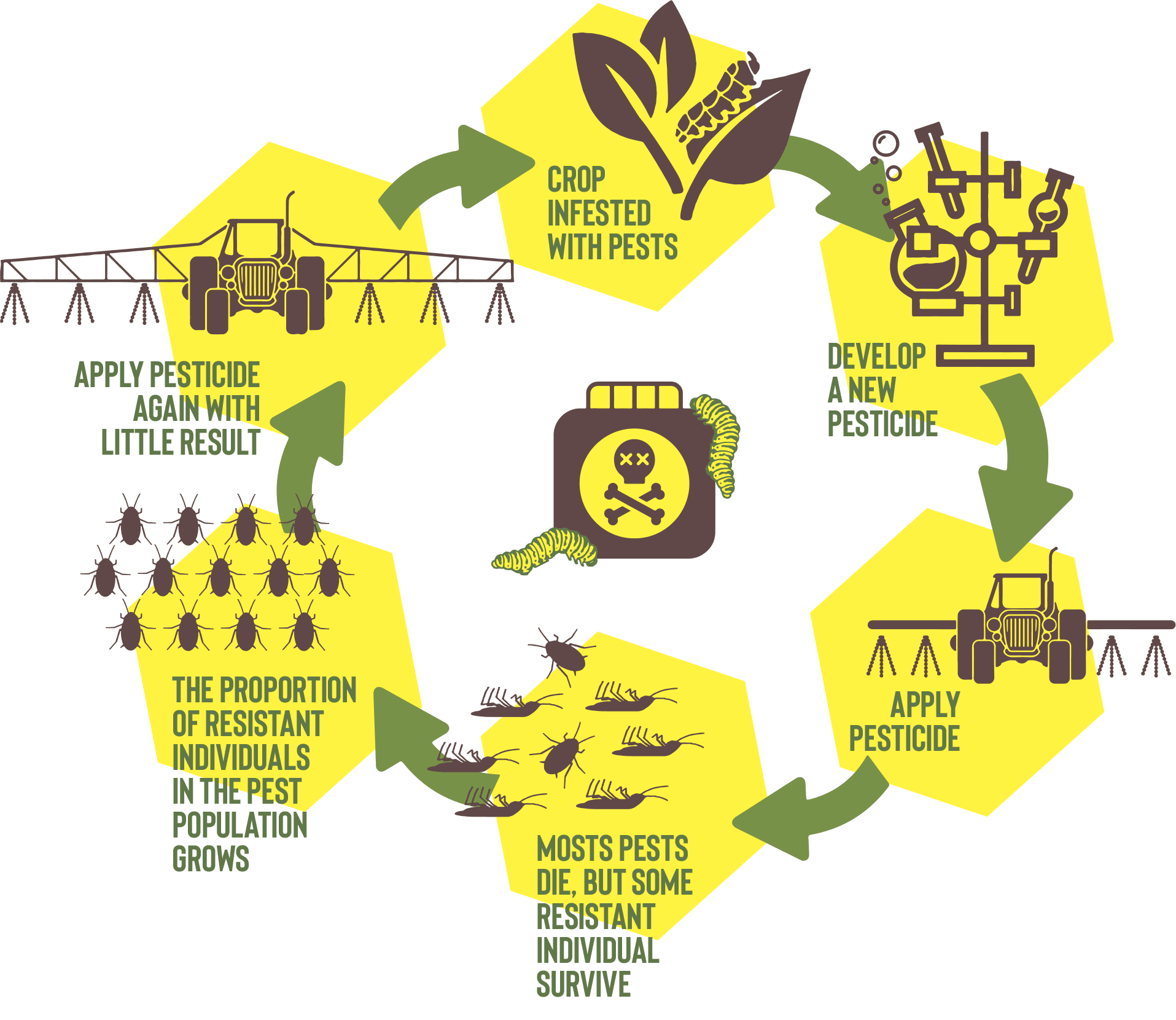 greenpeace